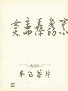 女主真身穿越从天而降的小说