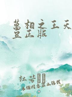 万相之王天蚕土豆正版