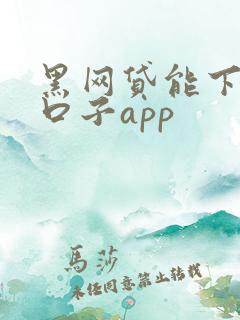 黑网贷能下款的口子app