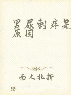 男尿刺疼是什么原因