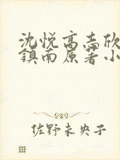 沈悦高志欣 沈镇南原著小说