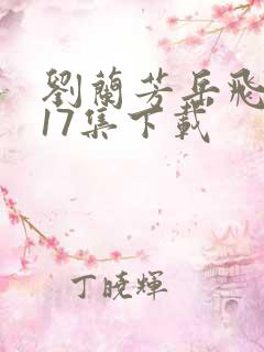 刘兰芳岳飞传117集下载