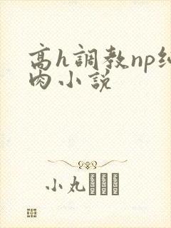 高h调教np纯肉小说