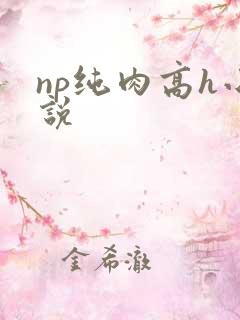 np纯肉高h小说