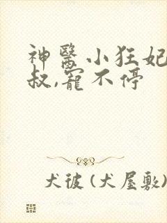 神医小狂妃:皇叔,宠不停
