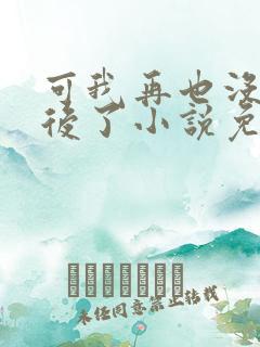 可我再也没有以后了小说免费阅读