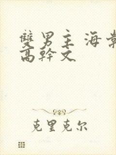 双男主 海棠 高干文