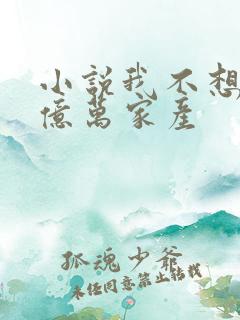 小说我不想继承亿万家产