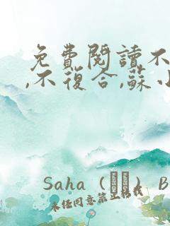 免费阅读不原谅,不复合,苏小姐独美