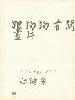 跟狗狗有关的动画片