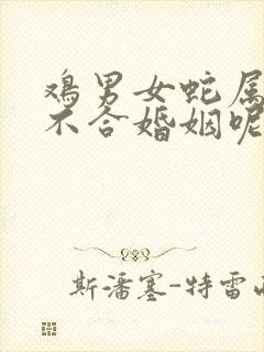 鸡男女蛇属相合不合婚姻呢