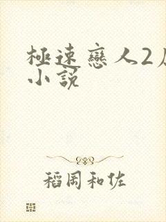 极速恋人2原著小说