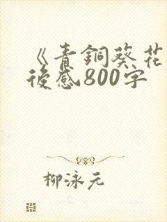 《青铜葵花》读后感800字