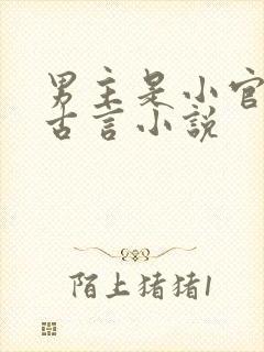 男主是小官吏的古言小说