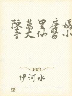 陈万里唐嫣然妙手大仙医小说