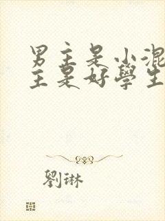 男主是小混混女主是好学生的小说