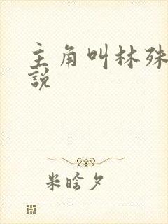 主角叫林殊的小说