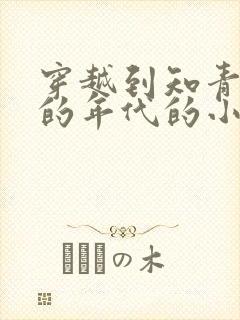 穿越到知青下乡的年代的小说