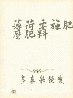 薄荷要施肥用什么肥料
