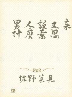 男人说又来了是什么意思