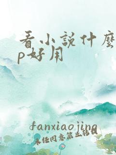看小说什么app好用