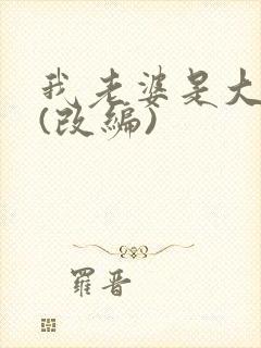 我老婆是大明星(改编)