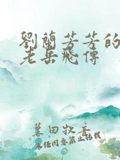 刘兰芳芳的评书老岳飞传
