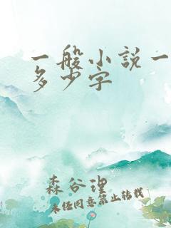 一般小说一章节多少字