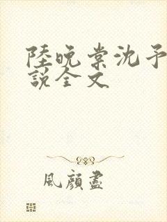 陆晚棠沈予安小说全文