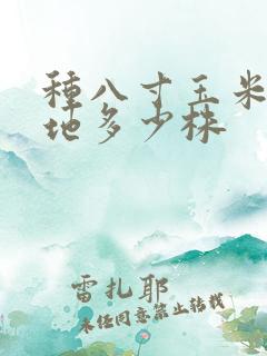 种八寸玉米一亩地多少株