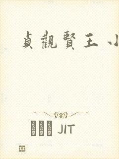 贞观贤王 小说