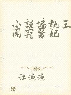 小说偏执王爷的团宠医妃