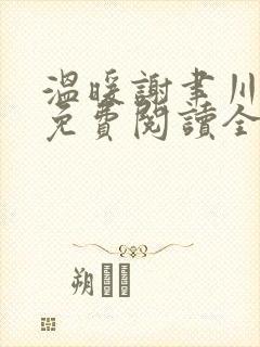 温暖谢聿川小说免费阅读全文无弹窗