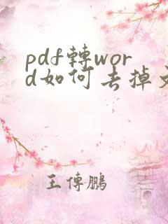 pdf转word如何去掉文本框
