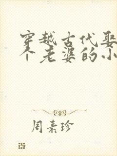 穿越古代娶了八个老婆的小说推荐