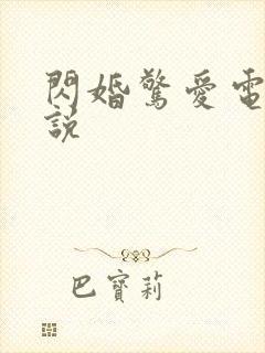 闪婚惊爱电子小说