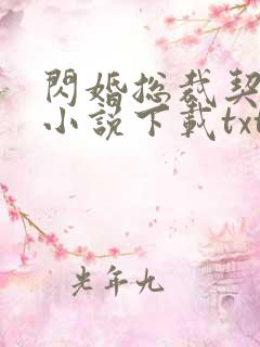 闪婚总裁契约妻小说下载txt