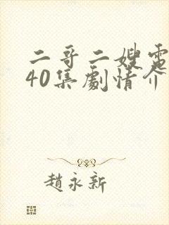 二哥二嫂电视剧40集剧情介绍