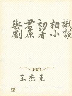 与君初相识电视剧原著小说