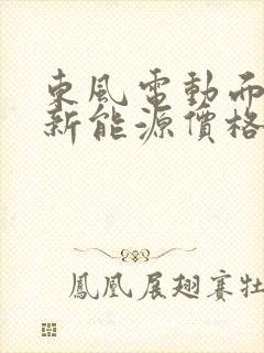 东风电动面包车新能源价格