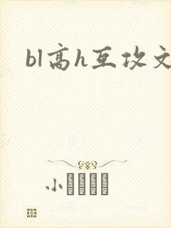 bl高h互攻文