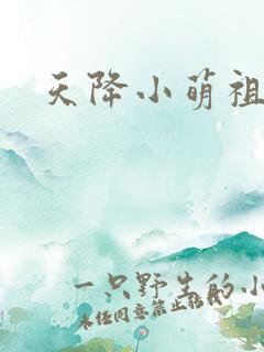 天降小萌祖短剧