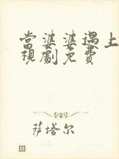 当婆婆遇上妈电视剧免费