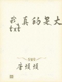 我真的是大明星txt
