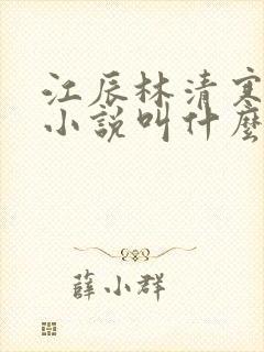 江辰林清寒正版小说叫什么名字