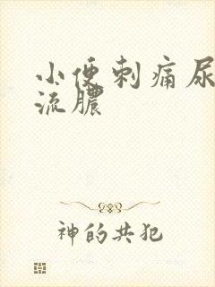 小便刺痛尿不尽流脓