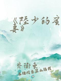 《陆少的蜜宠甜妻》