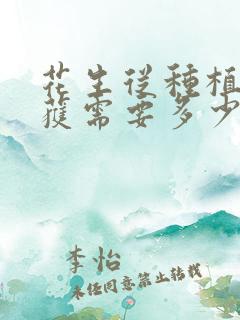 花生从种植到收获需要多少天