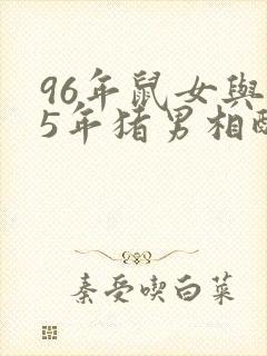96年鼠女与95年猪男相配吗
