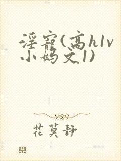 淫宠(高h1v小妈文1)